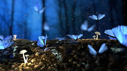 Celtic fairy