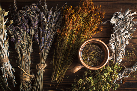 herbalist Celtic druid