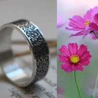 Anillo Cosmos