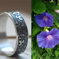 Anillo Ipomoea