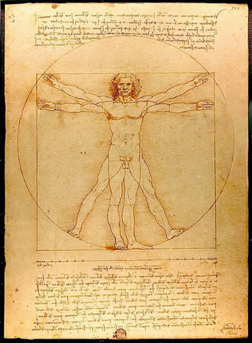 El Hombre de Vitruvio según Leonardo da Vinci