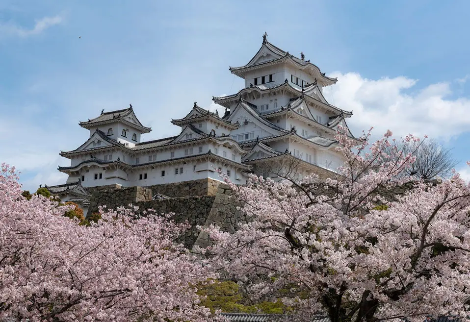 Palacio japonés y cerezos en flor