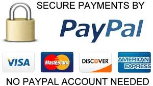 Pagar con paypal