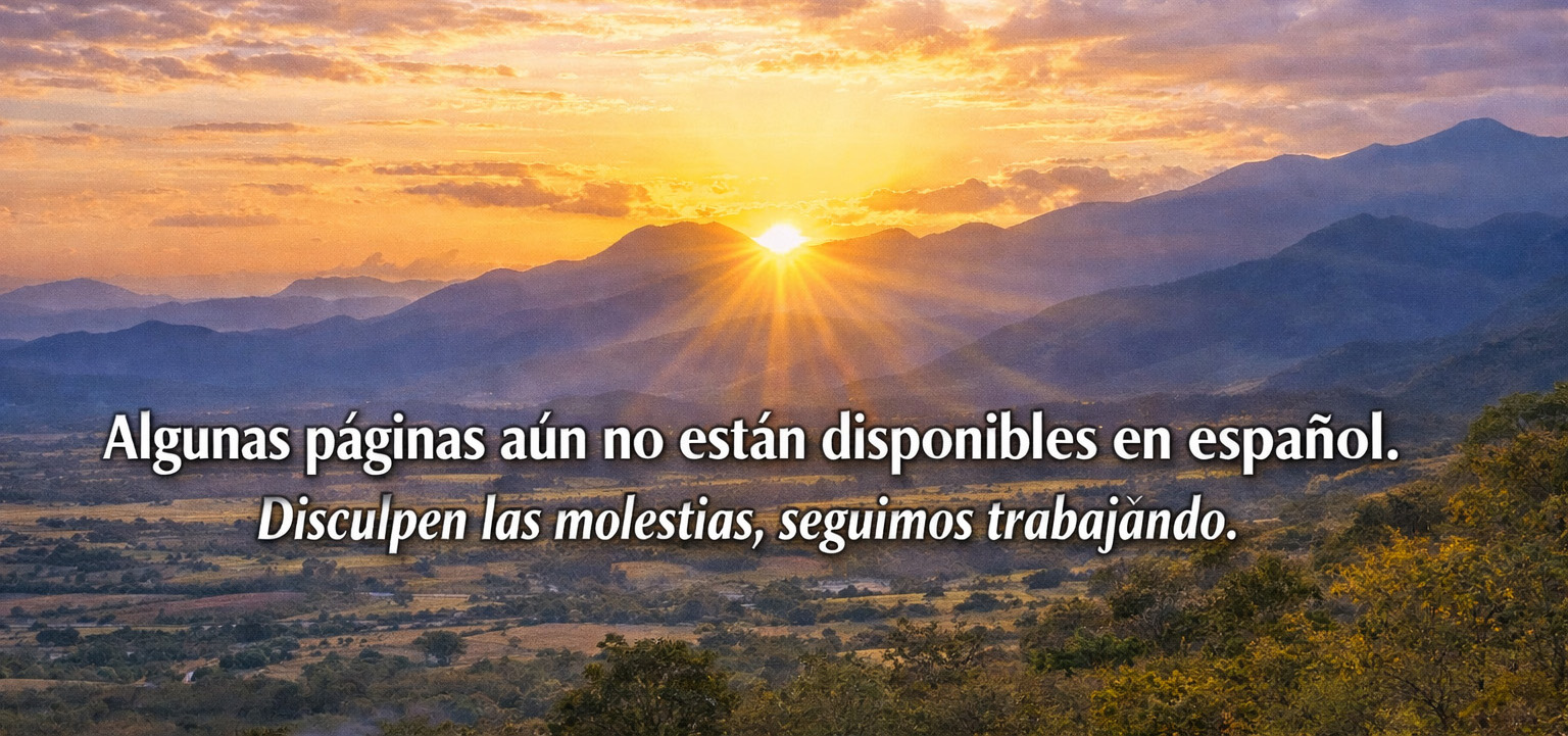 Todo el sitio no esta en español, lo sentimos