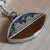 Petrified wood