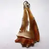 Características del nácar y la concha