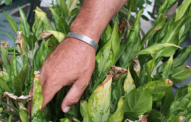 A la orilla de un sueño, pulsera otomí de México en plata