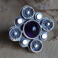 A la sombra del ciruelo en flor