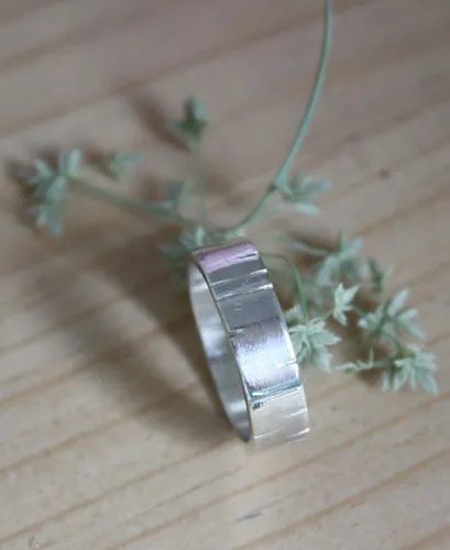 Abedul, anillo árbol de la sabiduría en plata