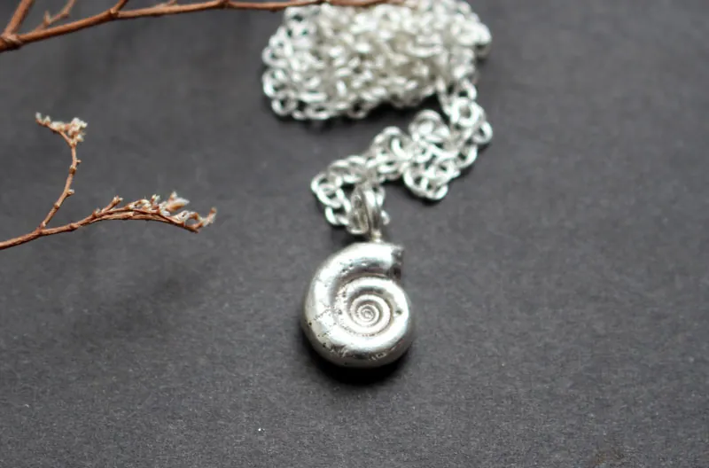 Amonita Eoderoceras, collar fósil del Jurásico en plata