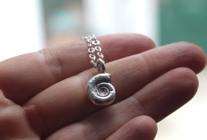 Amonita Eoderoceras, collar fósil del Jurásico en plata