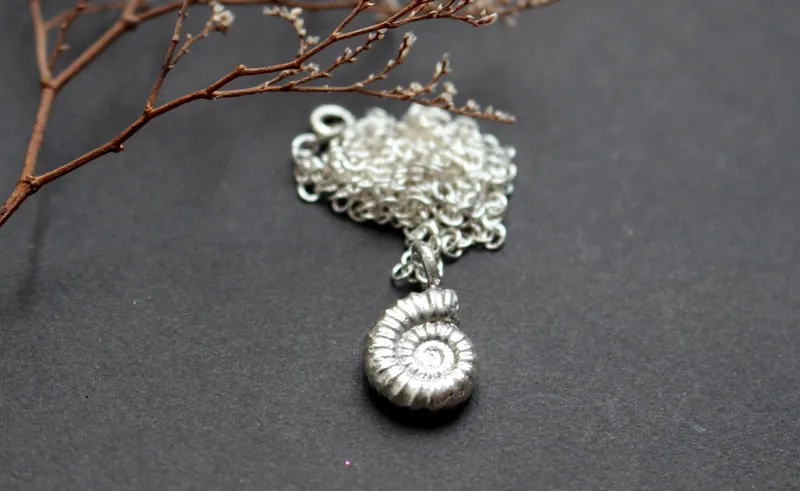 Amonita Promicroceras, collar fósil de paleontología en plata