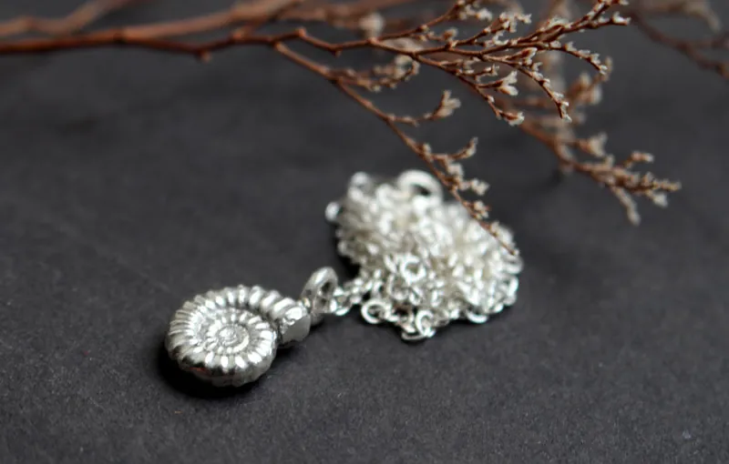 Amonita Promicroceras, collar fósil de paleontología en plata