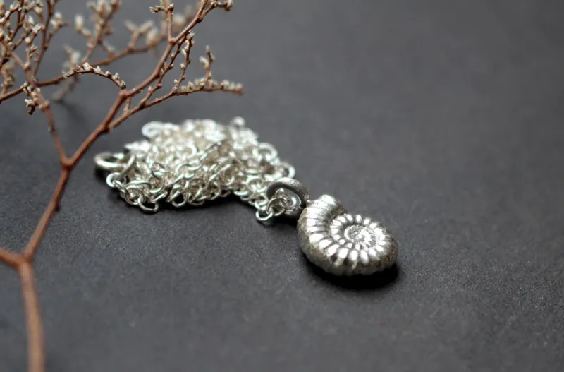 Amonita Promicroceras, collar fósil de paleontología en plata