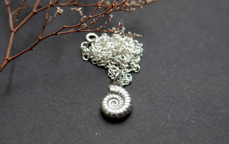 Amonita Promicroceras, collar fósil de paleontología en plata