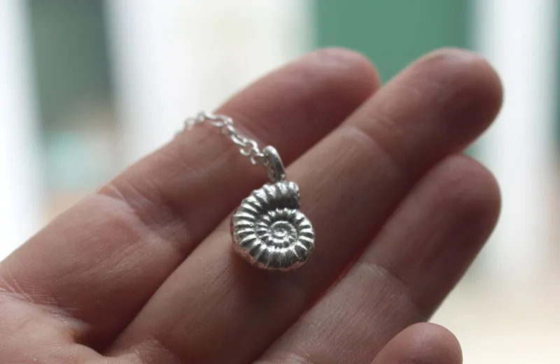 Amonita Promicroceras, collar fósil de paleontología en plata