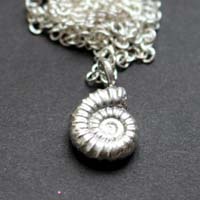 Amonita Promicroceras, collar fósil de paleontología en plata