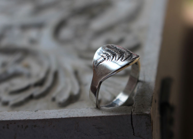 Brote de helecho, anillo naturaleza en plata