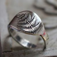 Brote de helecho, anillo naturaleza en plata