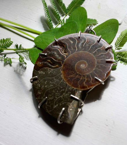 Cephalopoda, dije testigo de la historia en plata y amonita