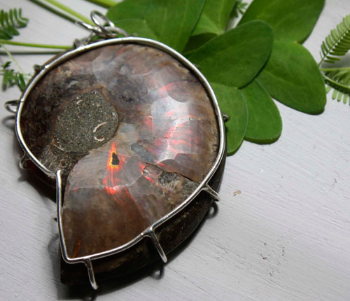 Cephalopoda, dije testigo de la historia en plata y amonita