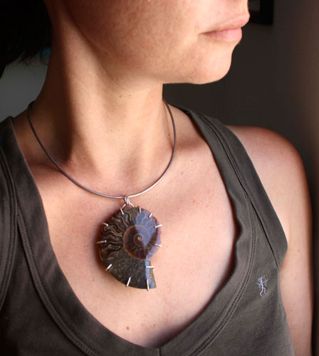 Cephalopoda, dije testigo de la historia en plata y amonita