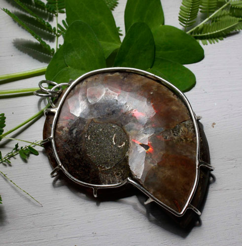 Cephalopoda, dije testigo de la historia en plata y amonita