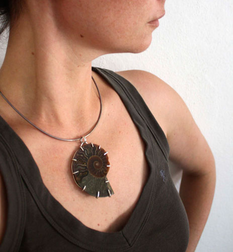 Cephalopoda, dije testigo de la historia en plata y amonita