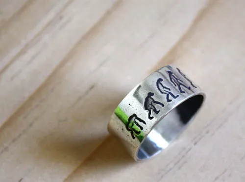 Darwin, anillo teoría de la evolución en plata