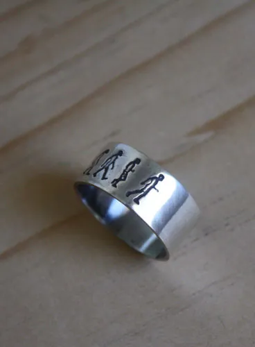 Darwin, anillo teoría de la evolución en plata