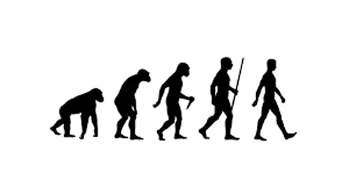 Darwin, anillo teoría de la evolución en plata