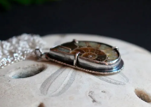 Desde el fondo del océano, collar exploración submarina en plata y amonita
