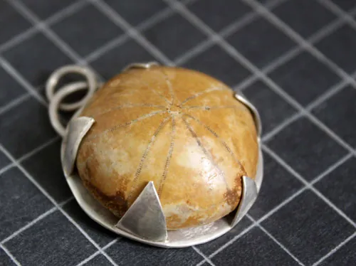 Echinoidea, dije historia de la tierra en plata y erizo de mar fósil