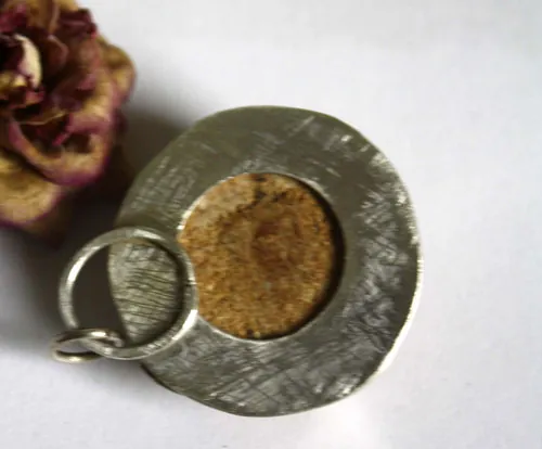 Echinoidea, dije historia de la tierra en plata y erizo de mar fósil