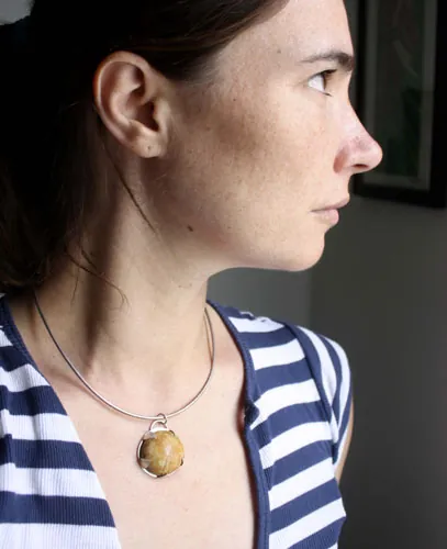 Echinoidea, dije historia de la tierra en plata y erizo de mar fósil