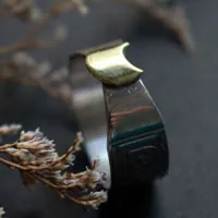 El anillo de la druidesa