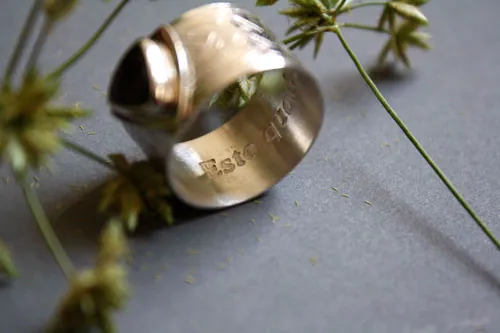 El anillo del druida, anillo celta en plata, latón y granate