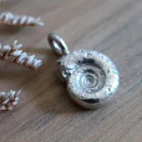 El ciclo de la vida, dije Ammonita eterna en plata