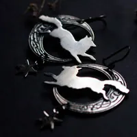 El zorro de la luna