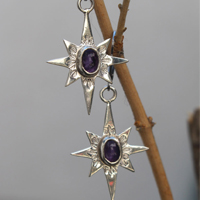 Estrella del Norte
