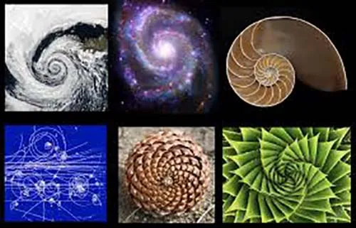 Fibonacci, anillo secuencia matemática en plata