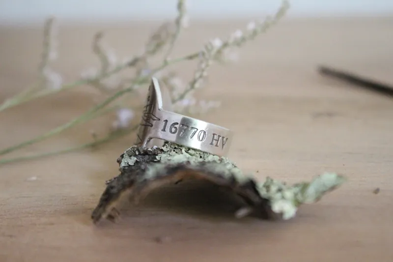 Haz de tu vida un sueño y de un sueño una realidad, anillo el avión del Principito en plata
