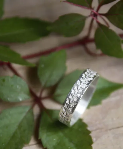 Hiedra, anillo vegetal en plata