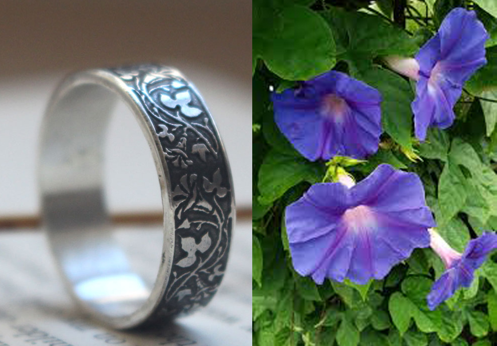 Ipomoea, anillo flor de plata