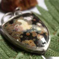 Juuri, dije bosque boreal en plata y jaspe oceánico