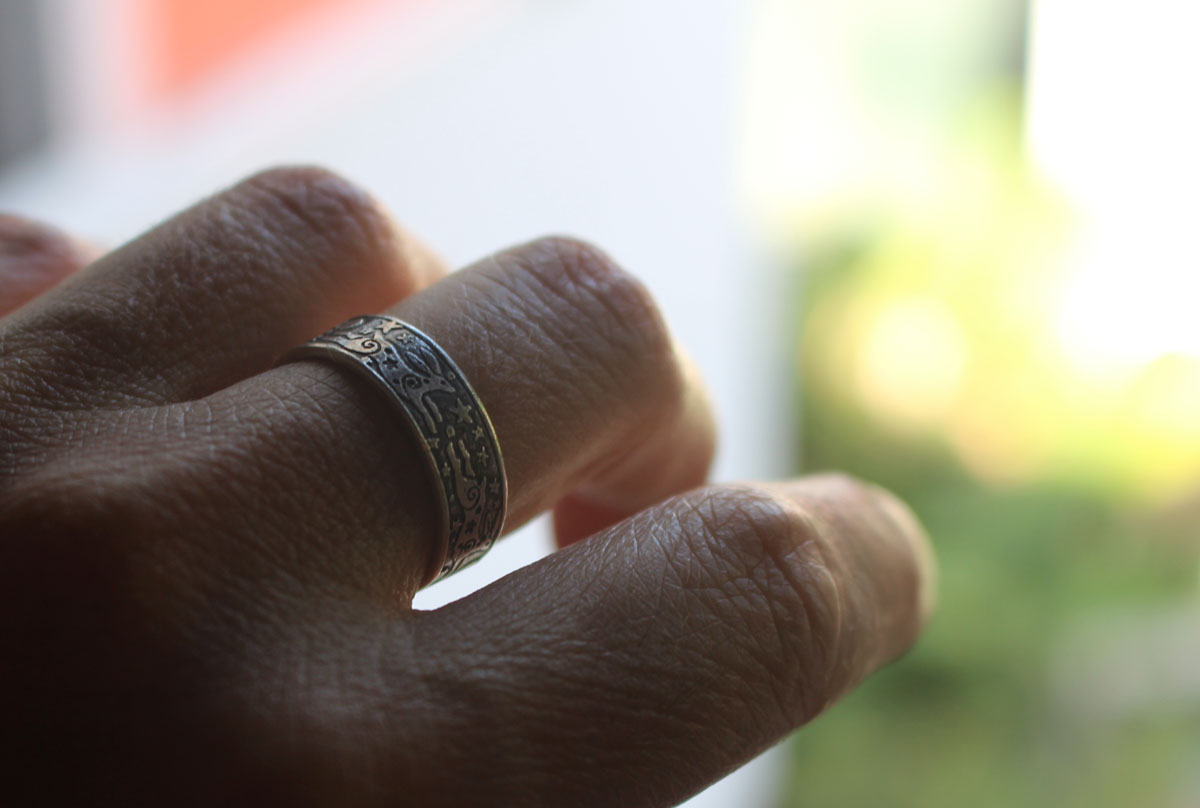 La farándola de las liebres, anillo conejo del cielo nocturno en plata