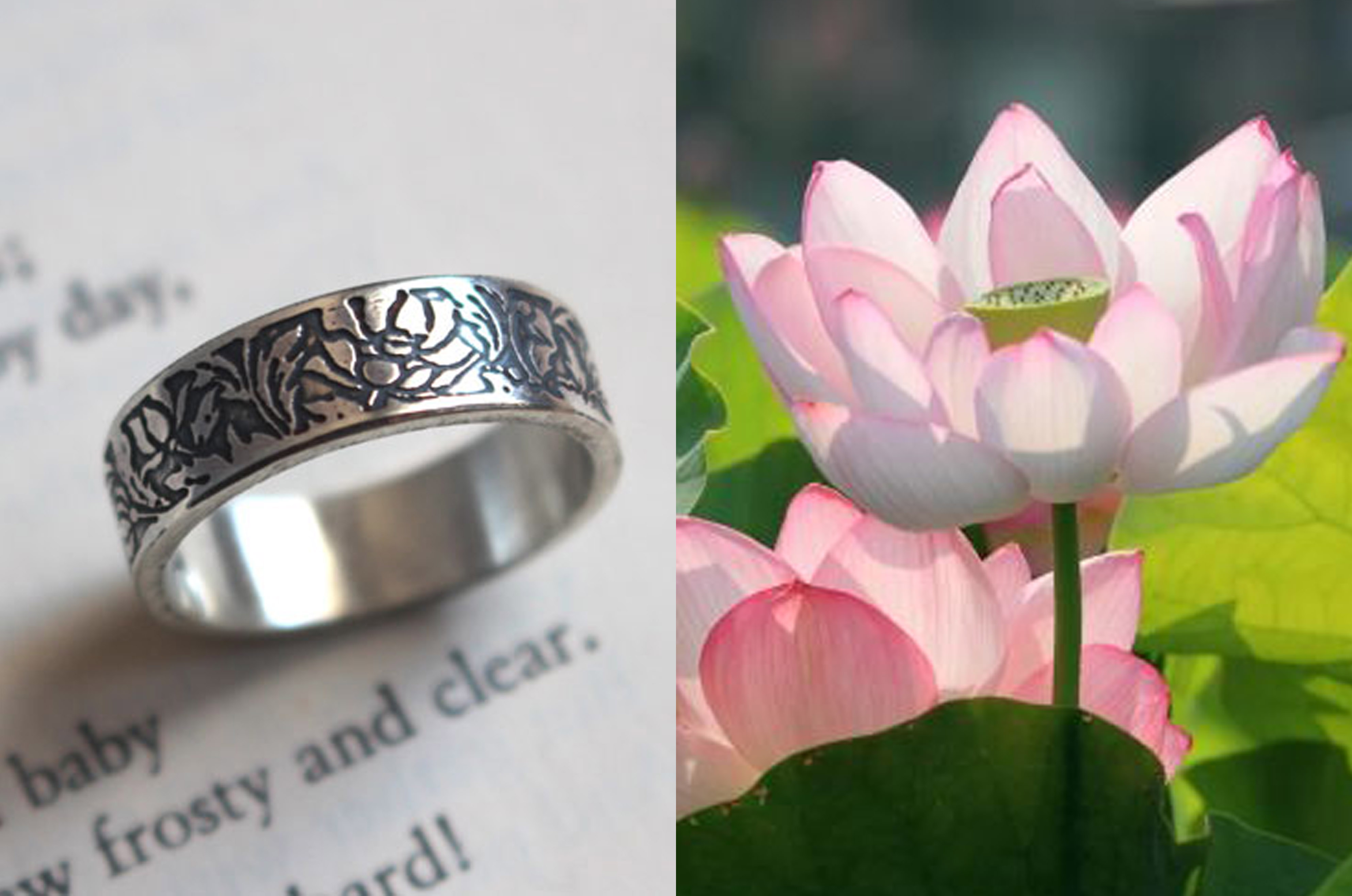 Loto, anillo flor acuática en plata
