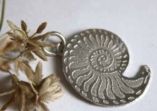 Nautilida, dije nautilus en plata