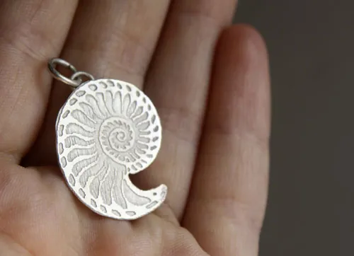 Nautilida, dije nautilus en plata