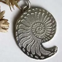 Nautilida, dije nautilus en plata